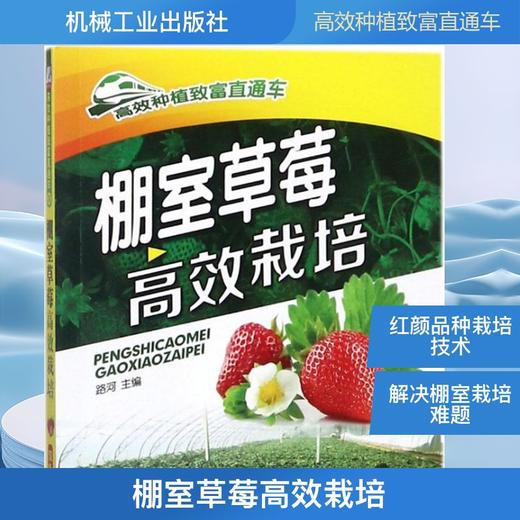 棚室草莓高效栽培 商品图0