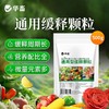 长效缓释肥颗粒通用型氮磷钾肥料养花绿植多肉家用盆栽花肥 商品缩略图2