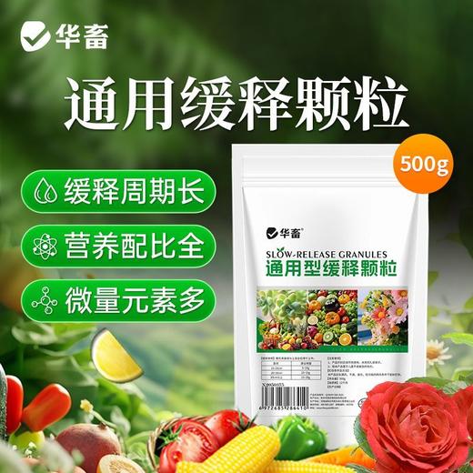 长效缓释肥颗粒通用型氮磷钾肥料养花绿植多肉家用盆栽花肥 商品图2
