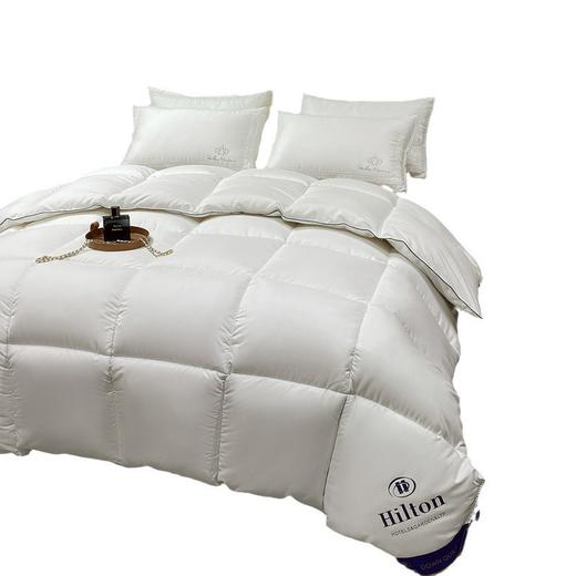 厂家直销希尔顿星级酒店羽丝绒棉被春秋被民宿被芯团购礼品被 商品图2