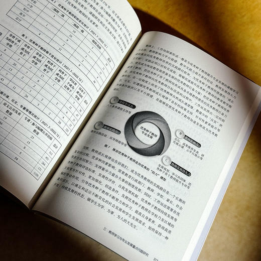 中国式现代化背景下的高质量教师学习 大夏书系 教育新思考 商品图13