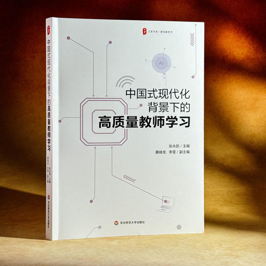 中国式现代化背景下的高质量教师学习 大夏书系 教育新思考 商品图3