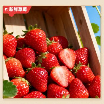 比比赞（BIBIZAN） 冻干草莓38g/袋 水果干果脯蜜饯网红小吃解馋休闲零食品 /休闲食品 /蜜饯果干 /梅子干 商品图1