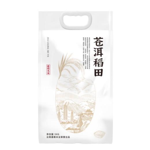 洱源县苍洱稻田大米5kg 商品图0