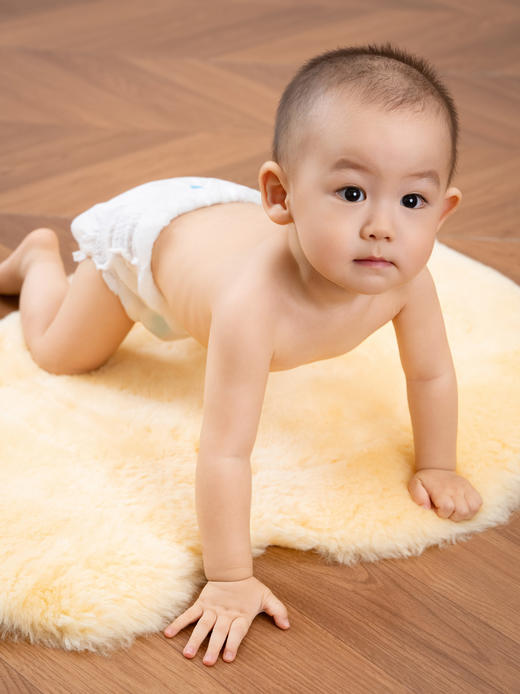 起程-隆丰澳洲羔羊皮张 商品图8