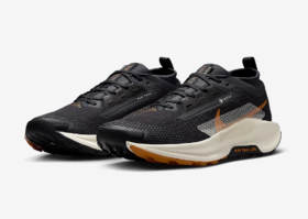 【耐克】B座5楼 耐克男鞋Pegasus Trail 5 GTX户外拒水飞马越野跑步鞋FQ0908-007