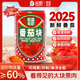 25年新疆新鲜西红柿番茄块罐头  配料干净无添加  400克/罐