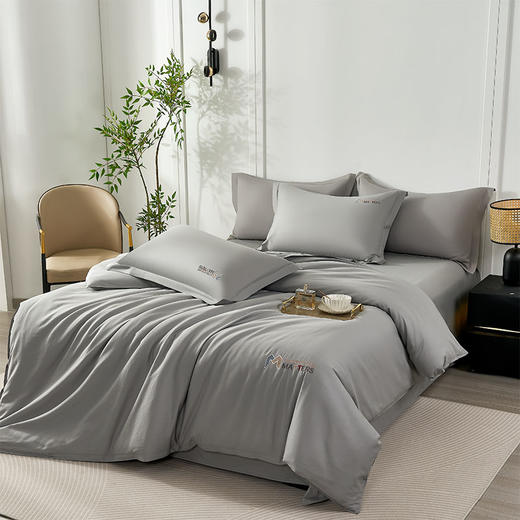 杉杉家纺 雅梦纯棉绣花四件套 QFS- 25020 商品图1