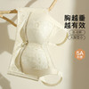 【大胸显小】高奢缎面提花全罩杯内衣女侧收提拉防垂收副乳文胸风清嫣然 商品缩略图0