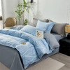 杉杉家纺 时尚纯棉磨毛四件套—岁月长河-蓝 QFS-2610 商品缩略图0