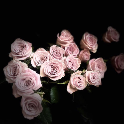 玫瑰.甜蜜曼塔 商品图2