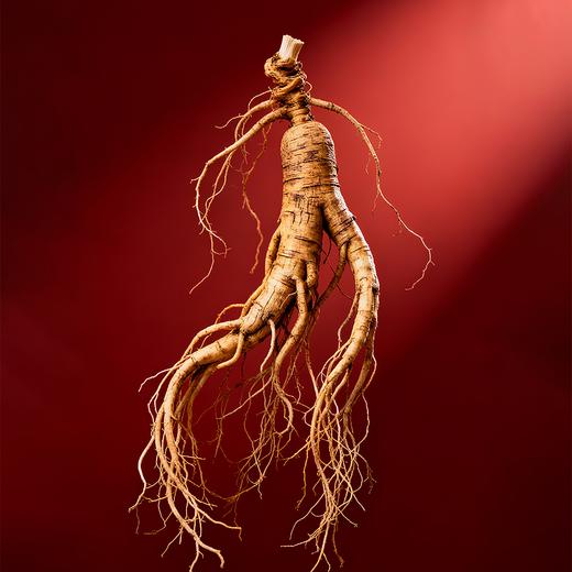 【象记】野山参5-12克礼盒装 商品图2