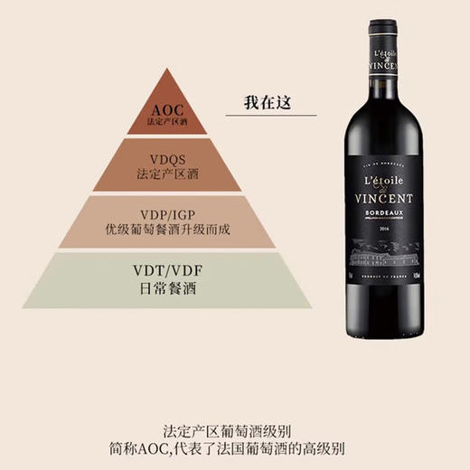 【送礼佳选】法国文森特庄园干红葡萄酒  法国原瓶进口 14%vol 商品图4
