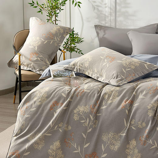 杉杉家纺 时尚纯棉磨毛四件套—绣丽-灰 QFS-2610 商品图1