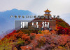 泗马沟｜户外驴友口口相传药王谷红叶の2025醉美赏红叶线路-6公里环线赏奇景胜境 [ 商品缩略图0