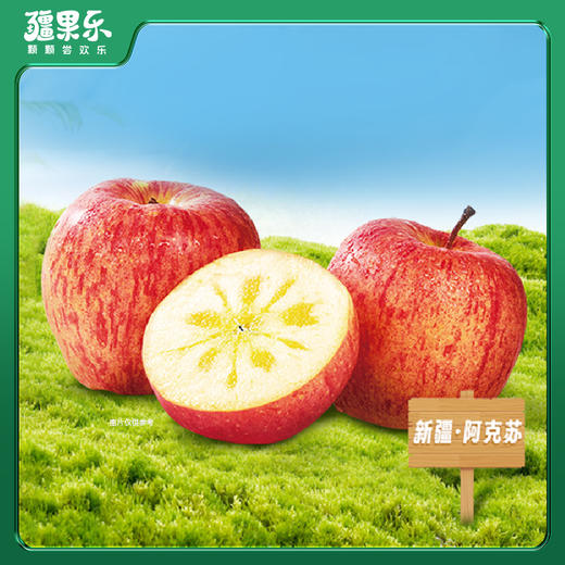 【疆果乐 新鲜水果】阿克苏冰糖心苹果(顺丰陆运，接单后48小时内发出，出单号后5-7天到货) 商品图0