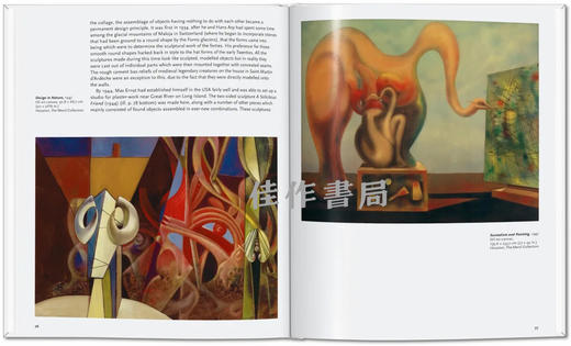 Max Ernst / 马克斯·恩斯特  Taschen【Basic Art】系列 商品图3