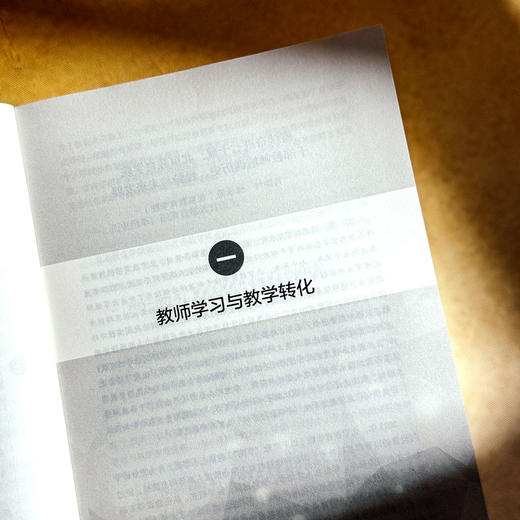 中国式现代化背景下的高质量教师学习 大夏书系 教育新思考 商品图7