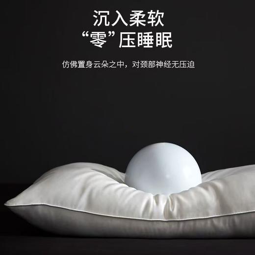 桑蚕丝养颜枕丨超柔软成人家用护颈枕助眠枕芯 商品图2