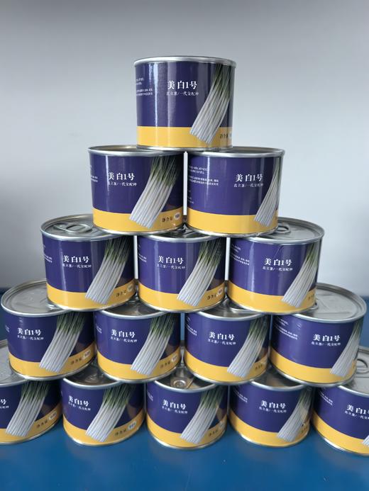 【种子】美白1号/直立葱 原罐进口 一代杂交 商品图1