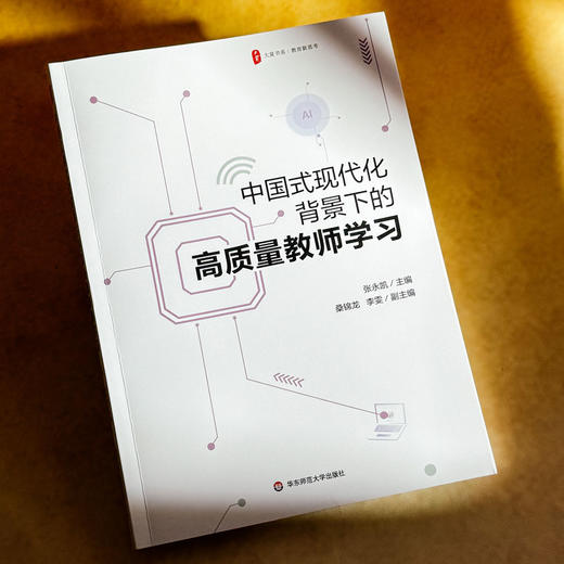 中国式现代化背景下的高质量教师学习 大夏书系 教育新思考 商品图4