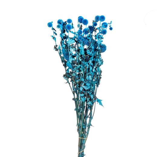 永生蓝星球 | 蓝色 商品图1