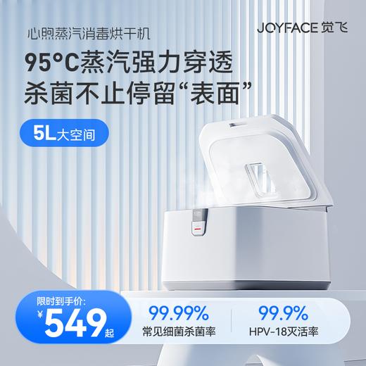 【内衣蒸汽消毒烘干机】觉飞心煦内衣裤蒸汽消毒烘干机杀菌专用小型家用干婴儿衣物盒器柜 商品图0