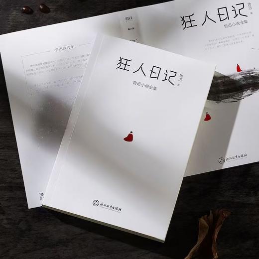 【独家旧书3折】 狂人日记  二手书籍（新疆 西藏 甘肃 青海 海南不包邮）bj 商品图0