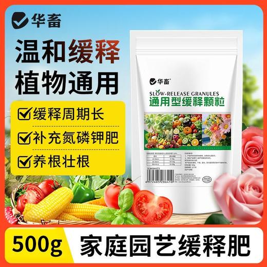 长效缓释肥颗粒通用型氮磷钾肥料养花绿植多肉家用盆栽花肥 商品图1