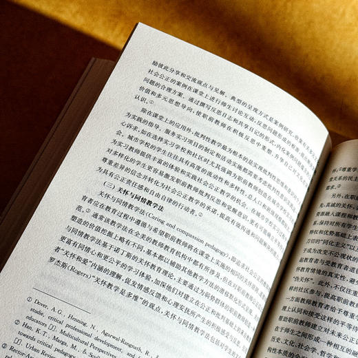 社会公正与教师教育的道德责任 王夫艳 国际与比较教育前沿丛书 商品图12