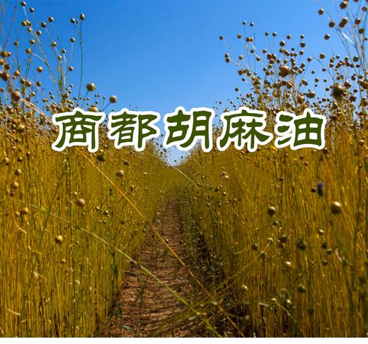 华粒古 胡麻油 2.5L 商品图1