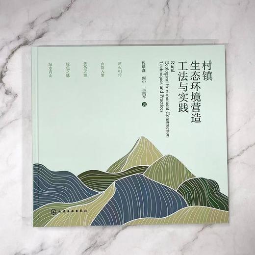 村镇生态环境营造工法与实践 商品图2