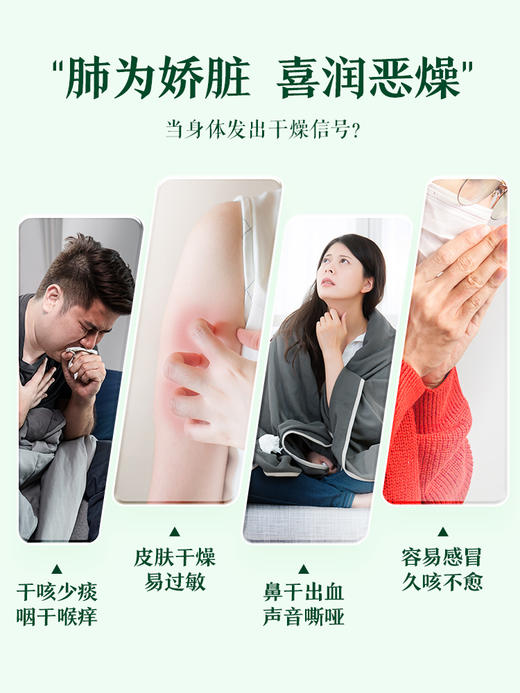 江中复合清菲汤化橘红发酵饮（30ml*7） 商品图5