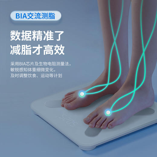 【新品体脂秤】乐心体脂秤 S21 商品图2