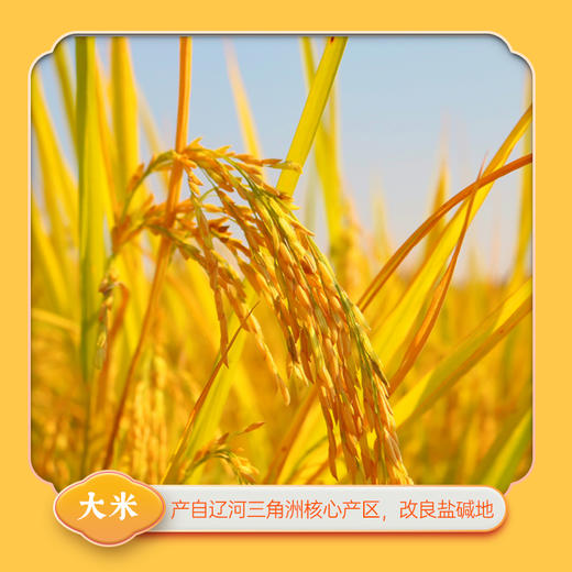 袁谷碱地二米饭300g大米玉米糁香糯二米饭真空小包装当季新米 商品图4