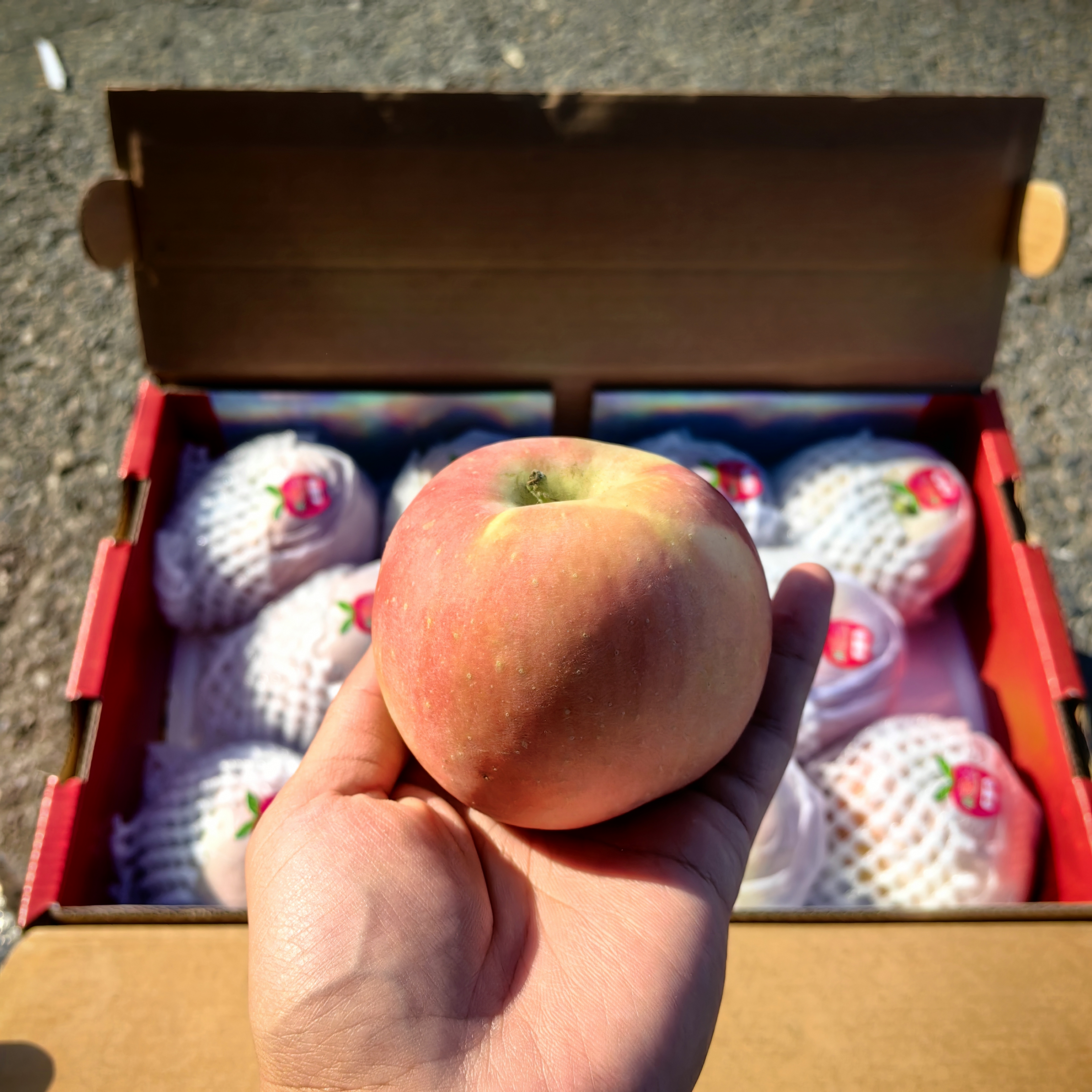 【自营品牌】正宗新疆阿克苏苹果顺丰包邮