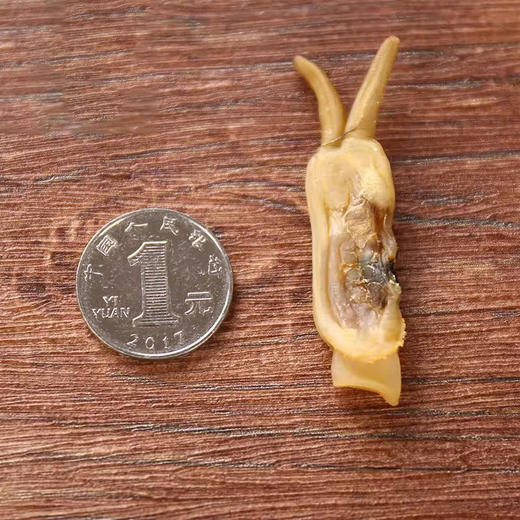 蛏干新鲜淡晒无沙福建特产圣子干竹蛏干肉海鲜干货大号双头蛏子干 商品图2