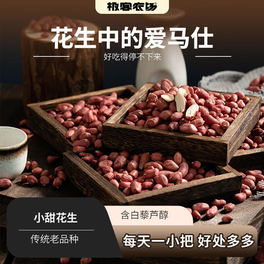小甜花生 | 村里人称她是“花生中的爱马仕”，可生食可入菜⭐️顺丰快递 商品图0