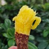 生态紫薯&黄金蜜薯（红薯）| 合作生产 | 基地直发|  * Ecological purple sweet potato & golden honey sweet potato 商品缩略图3
