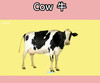 认识单词“cow” 商品缩略图0