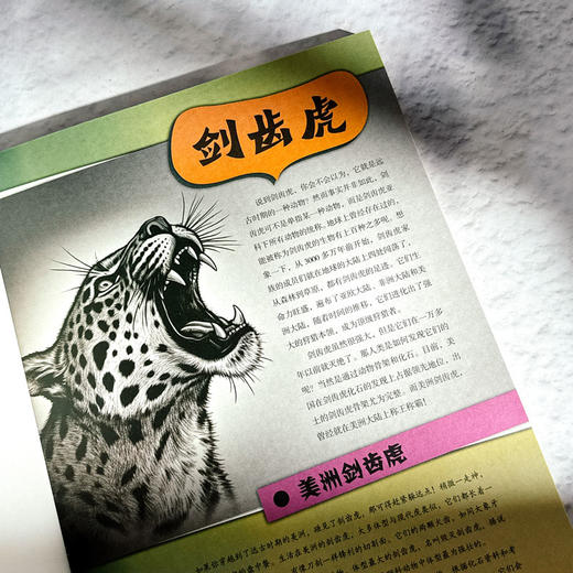 破半卷 解锁古文明 解锁古生物 手工折纸立体书 科普百科 建筑动物纸模型 商品图2