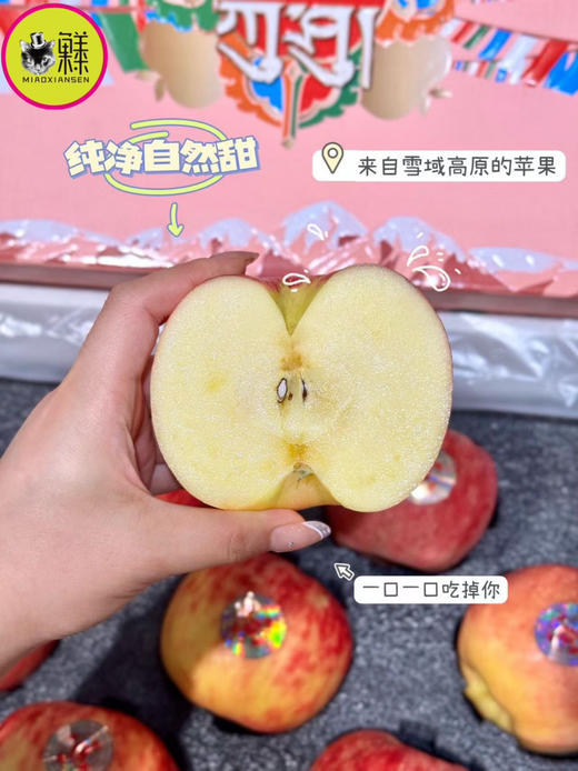 Mg基地直飞【云巅秘蔵】藏地冰川赤霞苹果（包邮） 商品图5