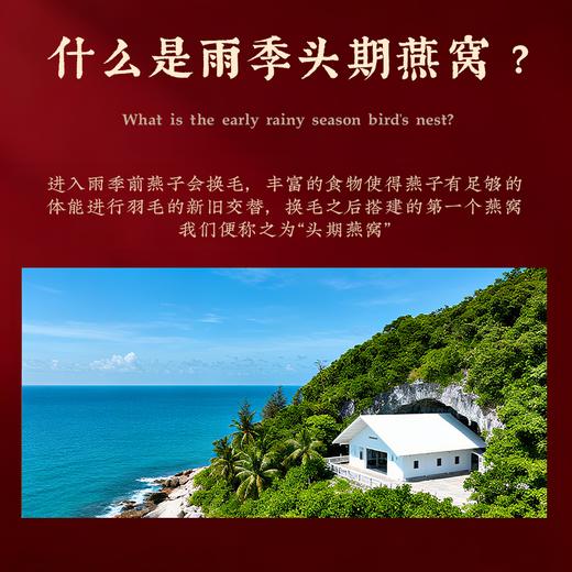 【象记】燕窝50克-100克礼盒装 商品图4