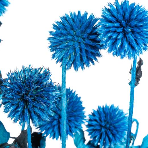 永生蓝星球 | 蓝色 商品图2