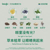 lessgo润目贴30贴 缓解用眼疲劳 商品缩略图3