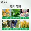 长效缓释肥颗粒通用型氮磷钾肥料养花绿植多肉家用盆栽花肥 商品缩略图6
