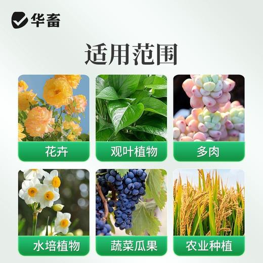 长效缓释肥颗粒通用型氮磷钾肥料养花绿植多肉家用盆栽花肥 商品图6