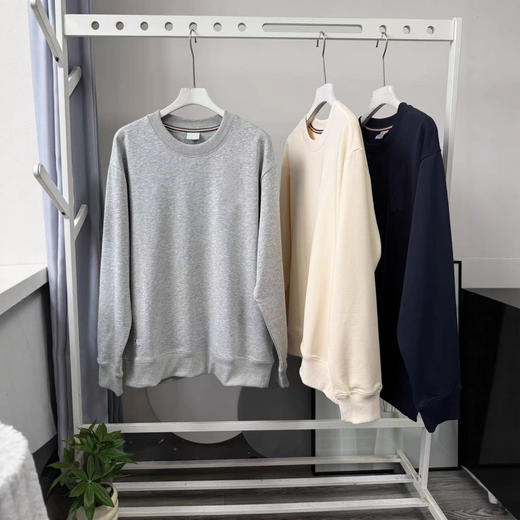 简约百搭2025春秋新款时尚宽松休闲刺绣圆领套头毛圈卫衣上衣男款！ 商品图0