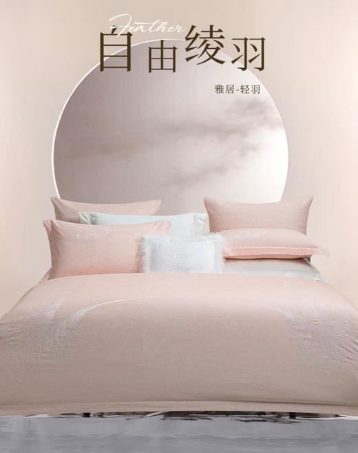 6F堂皇 轻羽磨毛（粉）全棉（紫）四件套 商品图0