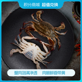 积分兑换丨至鲜小娘蟹（三角蟹）460g/4只*2份   小巧精致  只只带黄